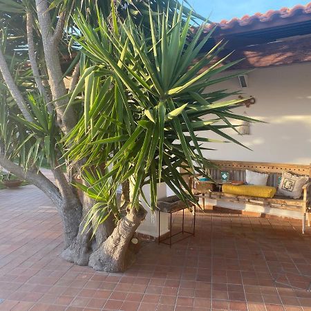 Dimorra Sun And Relax Vila Forio di Ischia Exterior foto